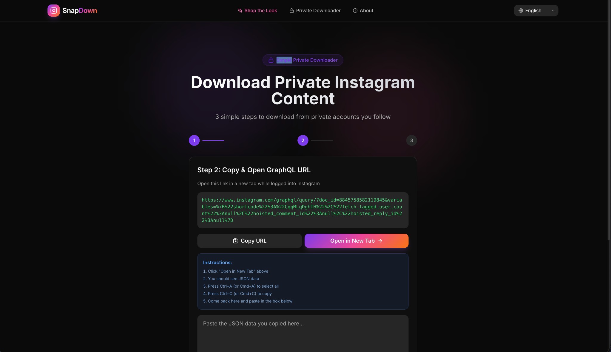 SnapDown Step 2 — GraphQL URL displayed with Copy URL and Open in New Tab buttons