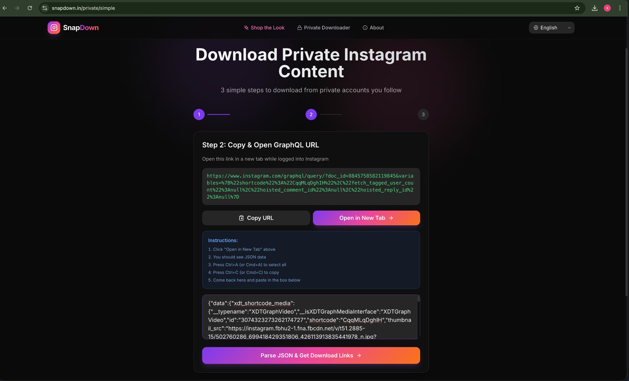 SnapDown Step 2 — JSON data pasted in the textarea with Parse button