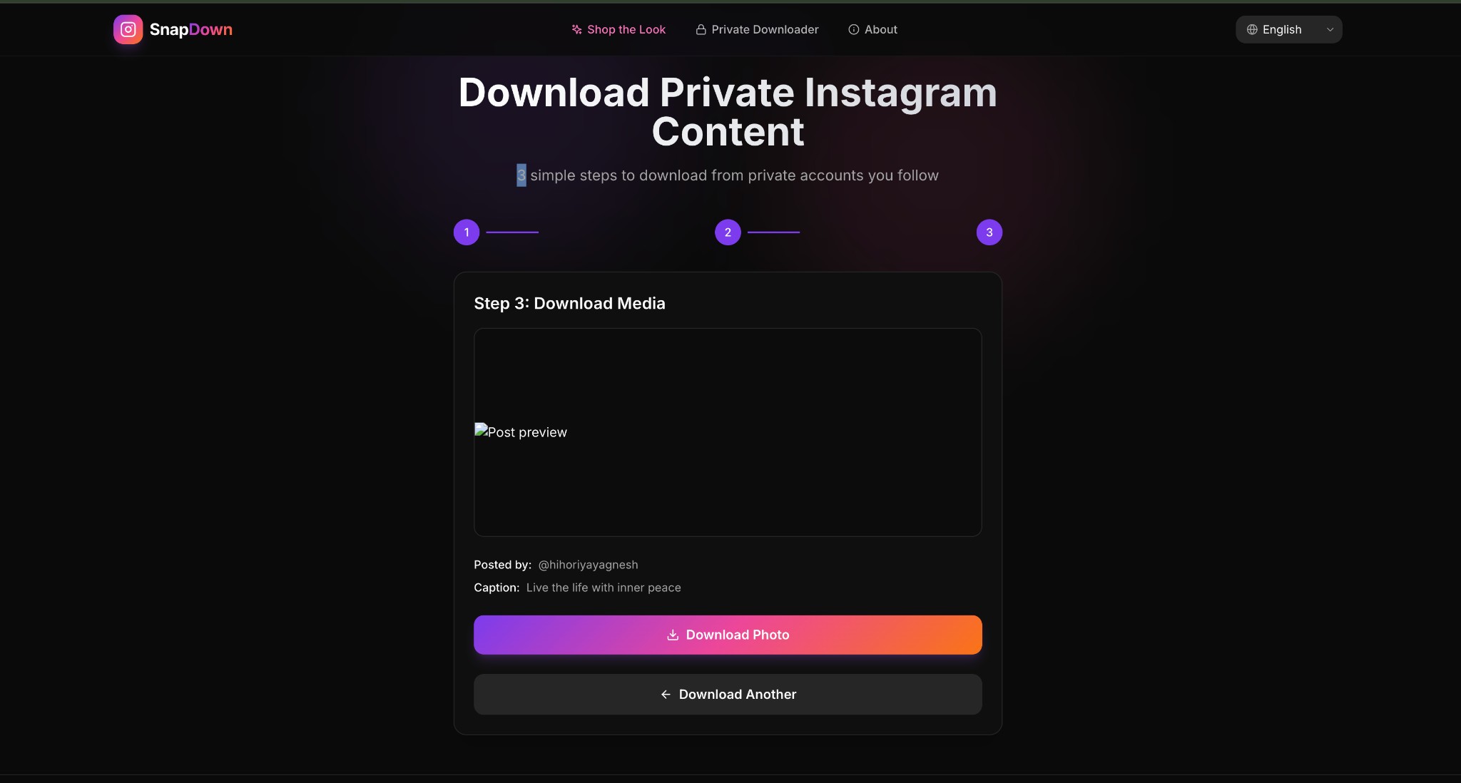 SnapDown Step 3 — Download Media with preview and Download Photo button