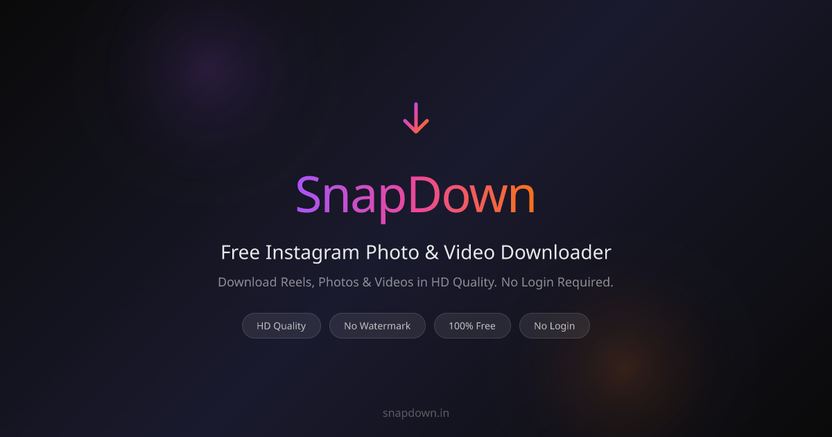 Instagram DP Download – Full-Size HD Profile Pics | SnapDown
